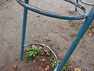 ジャングルジムビフォー